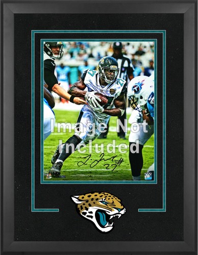 Jacksonville jaguars deluxe - jacksonville,